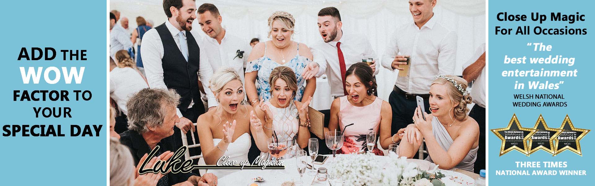 Bride and guests enjoying wedding entertainment