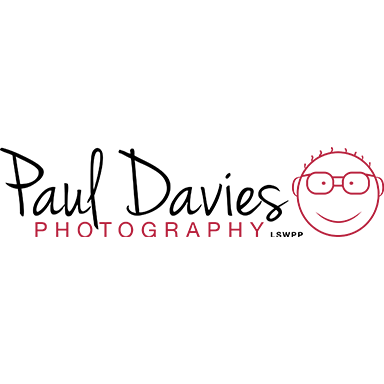 paul-davis